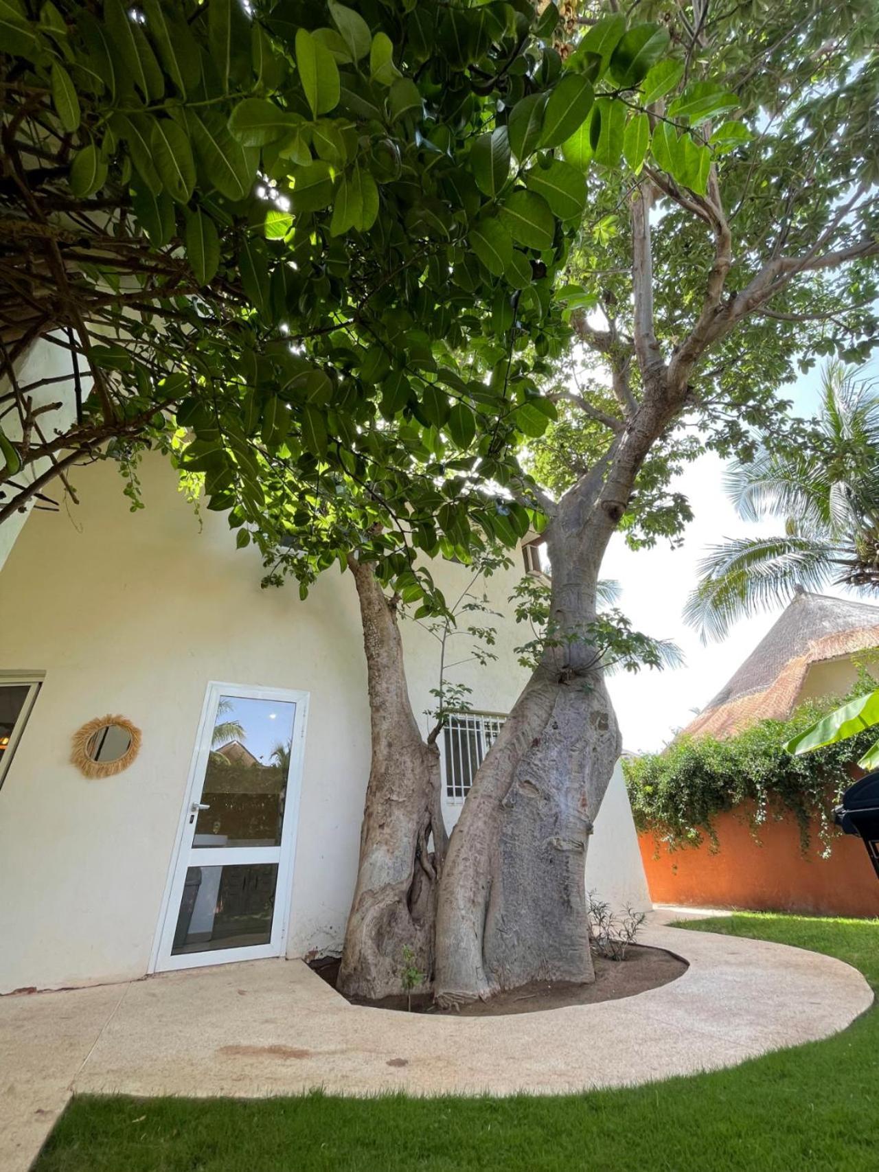 Agence Adjana Resort - Residence Du Port 3 Sali Tapé Exteriör bild